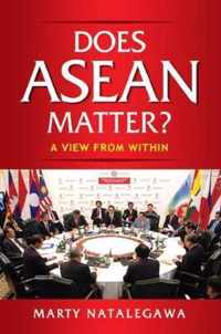 Does ASEAN Matter?: A View from Within