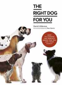 The Right Dog for You