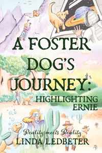 A Foster Dog&apos;s Journey: Highlighting Ernie