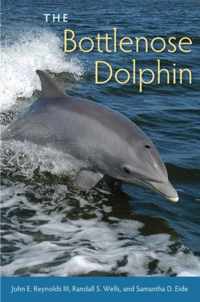 The Bottlenose Dolphin