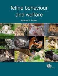 Feline Behaviour and Welfare