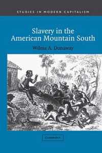 Slavery in the American Mountain South