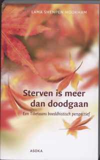 Sterven is meer dan doodgaan