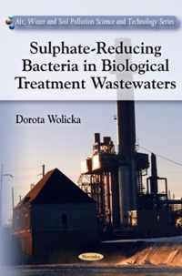 Sulphate-Reducing Bacteria in Biological Treatment Wastewaters