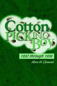 Cotton Picking Boy