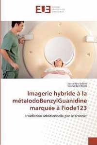 Imagerie hybride a la metaIodoBenzylGuanidine marquee a l'iode123