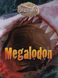 Uitgestorven  -   Megalodon