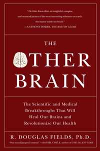 The Other Brain