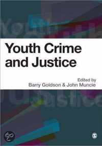 Youth, Crime And Justice