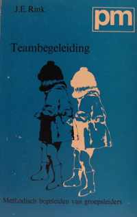 Teambegeleiding