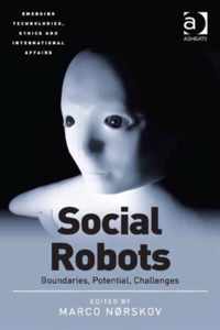 Social Robots: Boundaries, Potential, Challenges