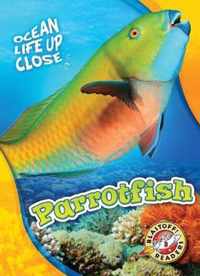 Parrotfish