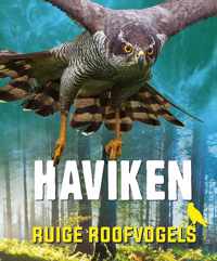 Ruige roofvogels  -   Haviken