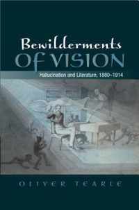 Bewilderments of Vision