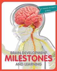 Brain development milestones and learning