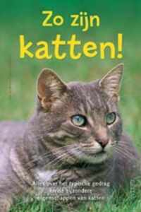 Zo zijn katten!