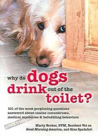 Why Do Dogs Drink Out of the Toilet?