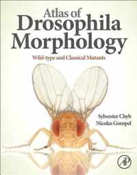 Atlas Of Drosophila Morphology