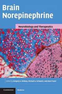 Brain Norepinephrine