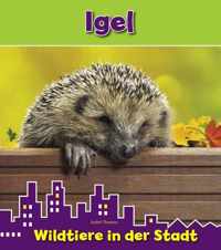 Igel