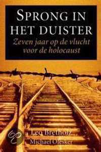 Sprong In Het Duister