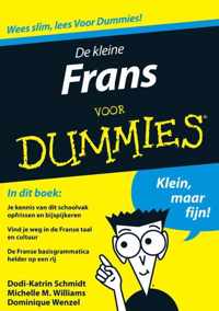 Kleine Duits Dummies