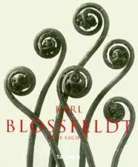 Karl Blossfeldt - Photographs 1865-1932