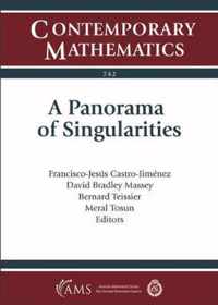 A Panorama of Singularities