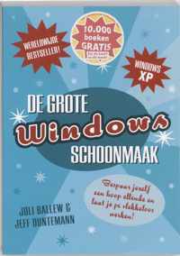 Grote Windows Schoonmaak