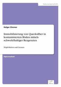 Immobilisierung von Quecksilber in kontaminierten Boeden mittels schwefelhaltiger Reagenzien