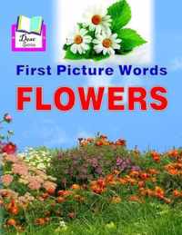 First Picture Words