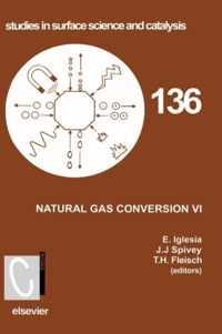 Natural Gas Conversion VI