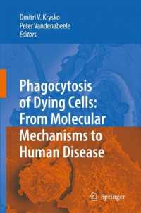 Phagocytosis of Dying Cells