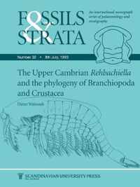 Upper Cambrian Rehbachiella and the Phylogeny of Brachiopoda and Crustacea