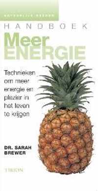 Handboek Meer Energie