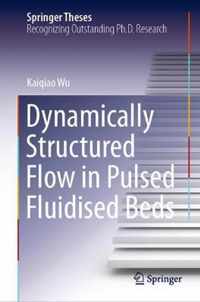 Dynamically Structured Flow in Pulsed Fluidised Beds