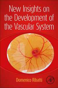 New Insights on the Development of the Vascular System