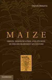 Maize