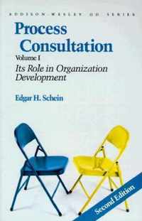 Process Consultation