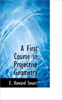 A First Course in Projective Geometry