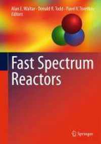 Fast Spectrum Reactors