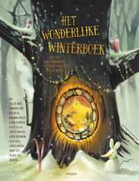 Het wonderlijke winterboek