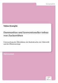 Dammanbau und konventioneller Anbau von Zuckerruben