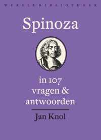 Spinoza in 107 vragen en antwoorden