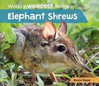 Elephant Shrews