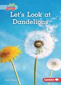 Let's Look at Dandelions