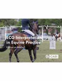 ECG Interpretation in Equine Practice