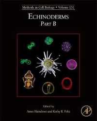 Echinoderms Part B