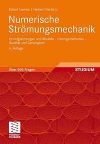 Numerische Stromungsmechanik