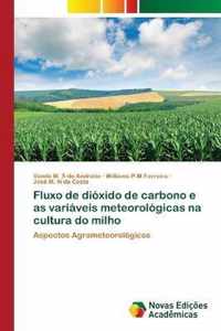 Fluxo de dioxido de carbono e as variaveis meteorologicas na cultura do milho